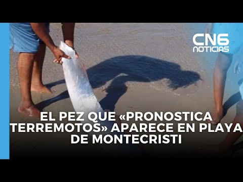El pez que «pronostica terremotos» aparece en playa de Montecristi