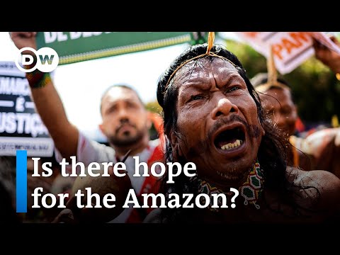 South American leaders meet to discuss protection of the Amazon for first time in 14 years | DW News