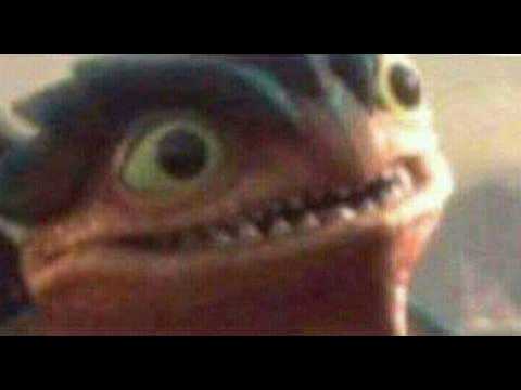 Kled Experience
