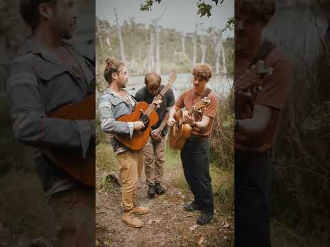 Jeremy Loops & Salt Tree — "Simply The Best"