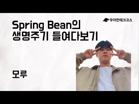 [10분 테코톡] 모루의 Spring Bean의 생명주기 들여다보기