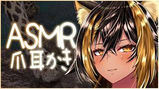⚡ASMR / 爪耳かき - TUME -⚡【猫小夜くろえ/Vtuber】