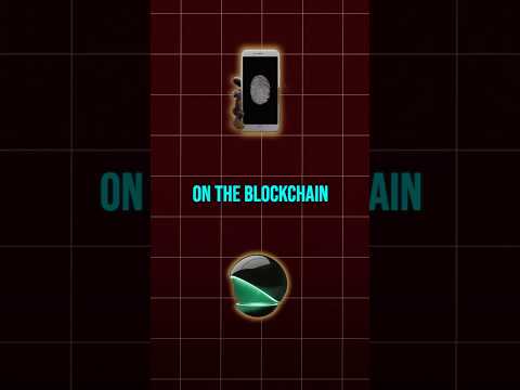 Future of Digital Identity ORB #blockchain #samaltman #openai