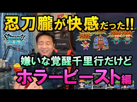 ドラクエウォーク415【大嫌いな覚醒千里行！ホラービースト編に挑戦！今回は忍刀・朧のおかげで忍者のレベル上げしながら楽しくやれる！】