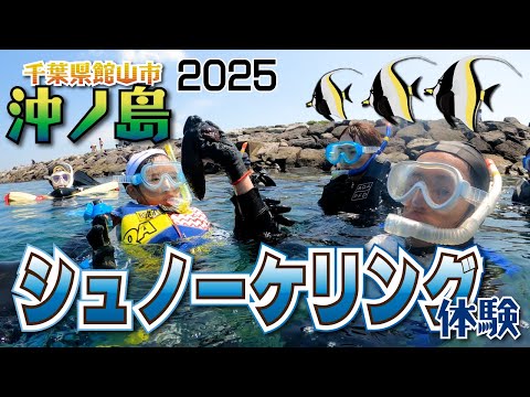 透明度の高い千葉県最強のスノーケリングポイント沖ノ島!2025年千葉県館山の沖ノ島スノーケリング体験プログラム開催!