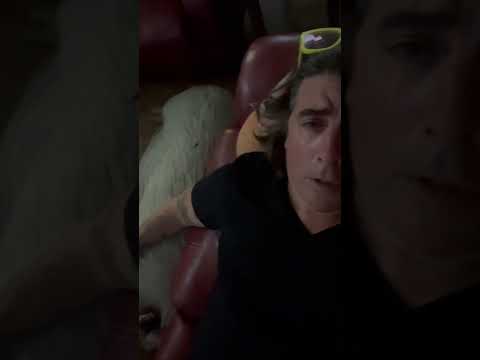 #feiends to the end #smcfritters #pigsofyoutube