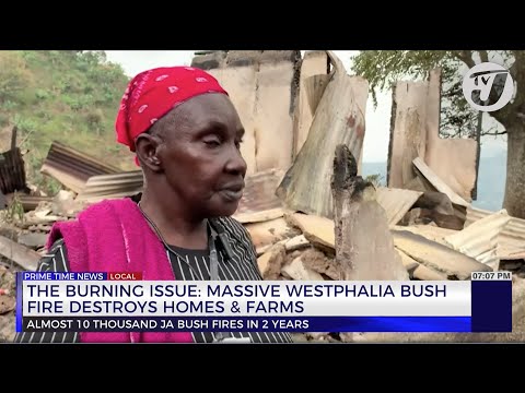 The Burning Issue: Massive Westphalia Bush Fire Destroys Homes & Farms | TVJ News