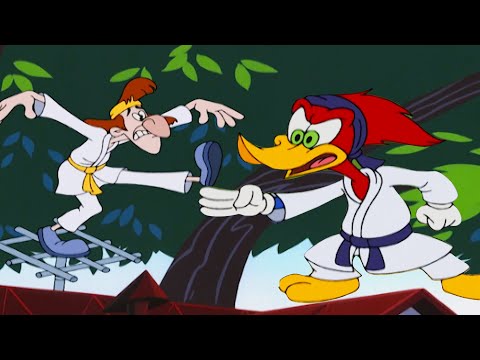 Woody Teaches Karate | Woody Woodpecker