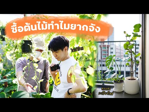 Vlog-บุกซื้อต้นไม้ถึงแหล่งแบบไ Vlog-บุกซื้อต้นไม้ถึงแหล่งแบบไ