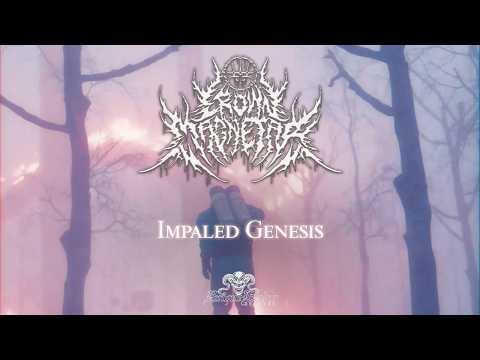 Crown Magnetar -  Impaled Genesis  (Official Visualizer)