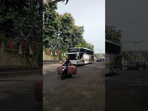 BUS BASURI 44TRANS#bus #basuri #fyp