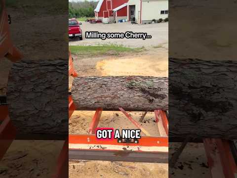 Milling Some Cherry with a Doggy