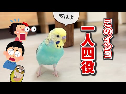 【一人四役】家族全員のまねをするインコ｜インコが語る爪切り事情😂