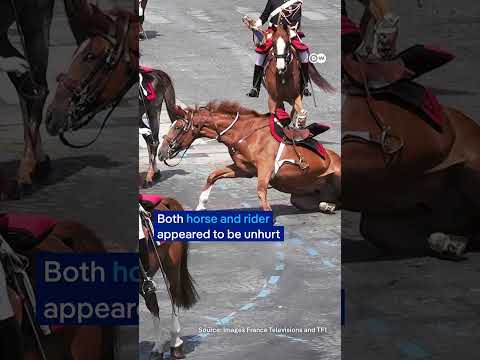 Breakaway horses at Bastille Day parade | DW News