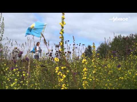 Городские события. Бег мира