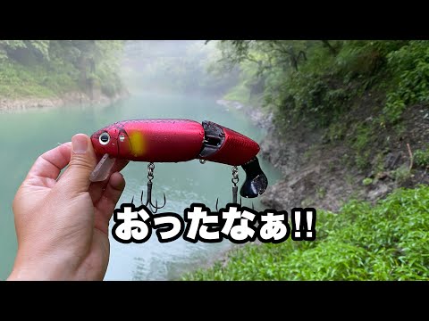 【おったなぁ】懐かしいルアーで一刀両断してきた