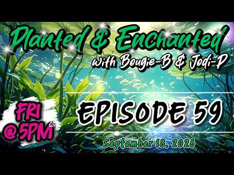 Planted & Enchanted with Bougie-B & Jodi-P - Episode 59
