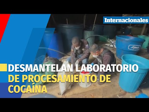 Ecuador desmantela un laboratorio de procesamiento de cocaína en la frontera con Colombia