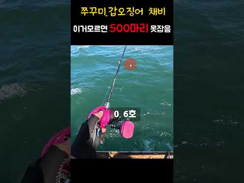 <strong>쭈꾸미낚시</strong> 0.8호 합사, 왜 자꾸 릴에서 엉킬까?