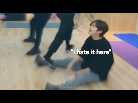 skz life in a nutshell (ep.1 & 2)