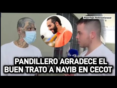 PANDILLEROS DE CECOT AGRADECEN A NAYIB EL BUEN TRATO!