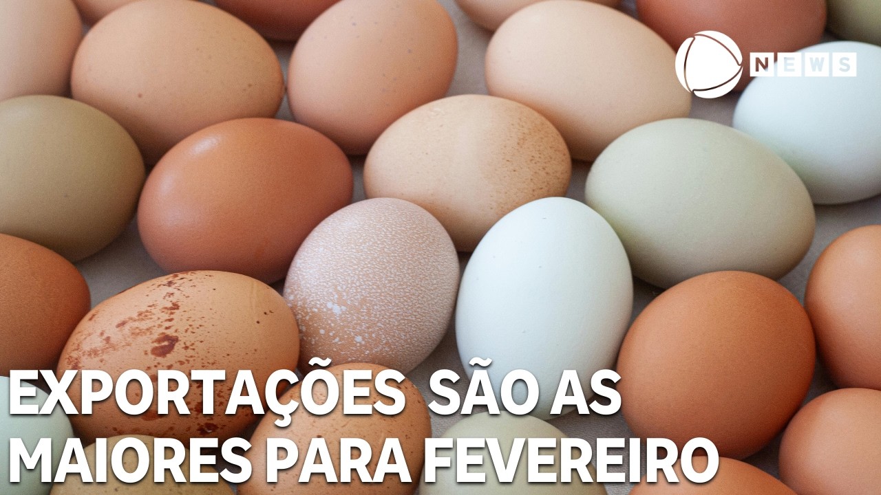 Exportações de ovos são as maiores para fevereiro desde 2013