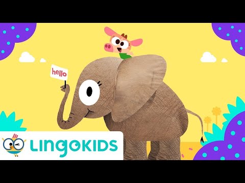 Cowy has an Elephant 🐘 | Nursery Rhymes For Kids | Lingokids