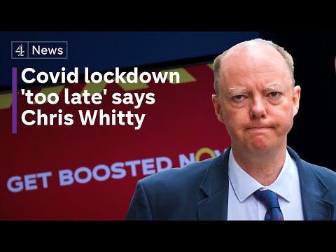 Government had ‘no good options’ to tackle Covid, Chris Whitty tells inquiry