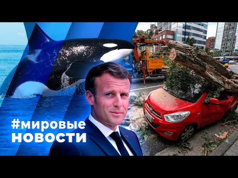 МИРОВЫЕ НОВОСТИ – 04 октября 2024
