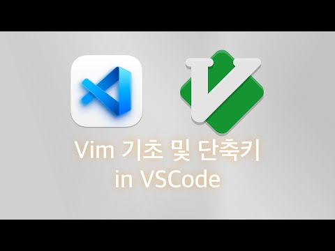 Vim 기초 및 단축키 in VSCode