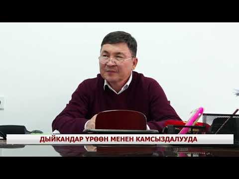 ДЫЙКАНДАР ҮРӨӨН МЕНЕН КАМСЫЗДАЛУУДА