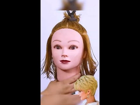 PIXIE BOB ▬ Paso a Paso #shorts