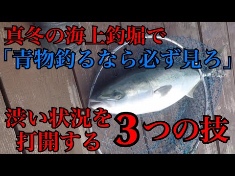 真冬の青物最強攻略法！※必ずヒットさせる３つの技【じゃのひれ】釣ガチ海上釣堀#219