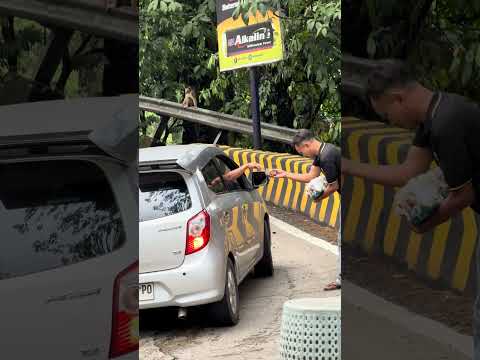 Terimakasih bosku #trending #automobile