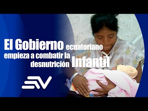 El Gobierno ecuatoriano empieza a combatir la desnutrición infantil