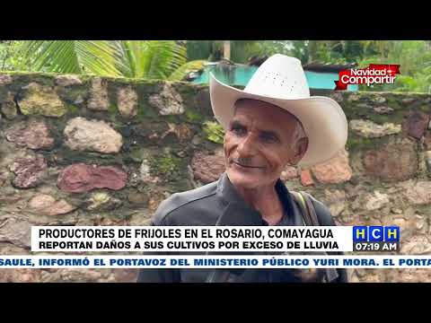 Productores de Frijoles en el Rosario, Comayagua reportan daños a sus cultivos