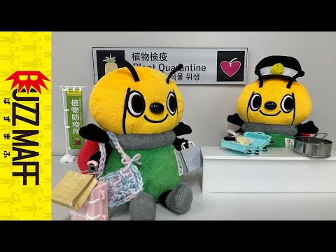 【知ってる？】植物の輸入検査に必要なもの（植物防疫所）