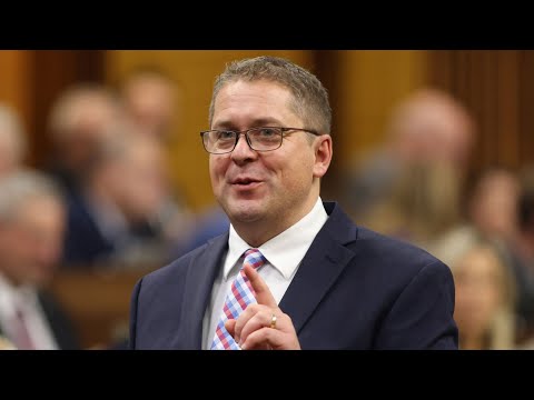 Andrew Scheer calls Randy Boissonnault 'fake indigenous man' during QP