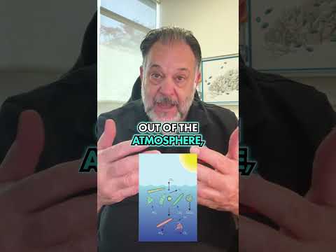 The One Ocean Organism We Can’t Live Without The One Ocean Organism We Can’t Live Without

Phytoplankton are tiny ocean plants that help the Ea