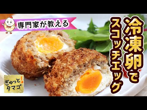 【専門家が教える】冷凍卵でスコッチエッグ/ Scotch eggs made with frozen eggs ~ぎゅっとタマゴ~