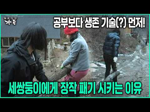 공부보다 생존 기술(?) 먼저! 세쌍둥이에게 장작 패기 시키는 이유 #가르침 #생존 [다큐 ‘가족’ 48회-3]