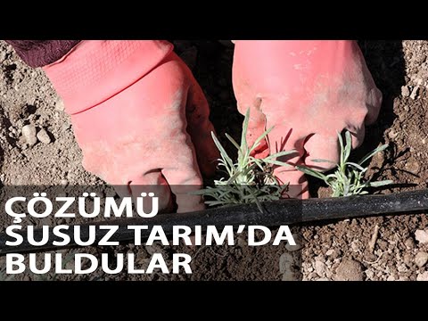 Yıllık Su Açığı 60 Milyon Ton Olan Burdur Gölü’ne Böyle Çözüm Buldular