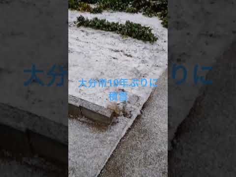 大分市10年ぶりに積雪を観測！＃気象＃天気＃防災