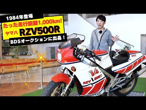 Yamaha RZV500R低走行の極上車が、2月19日BDSプレミアムオークションに登場！YZR500のイメージを再現したスポーツモデル