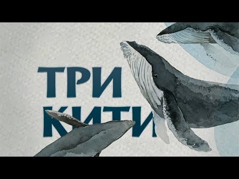 Благодійний музично-поетичний квартирник "Три кити".