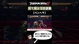 【鉄拳8】見て覚える用語集【ベンヘラ】