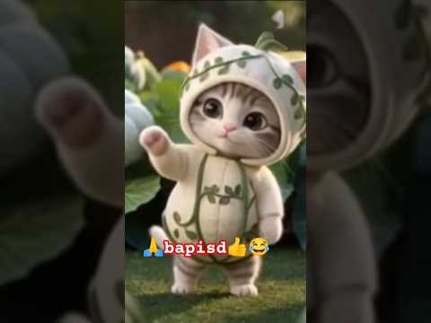 Cute Pomeranian funny things 🙏#music #cute #barkingbliss #cover #dog #pets #baby #funny #cutedog #4k