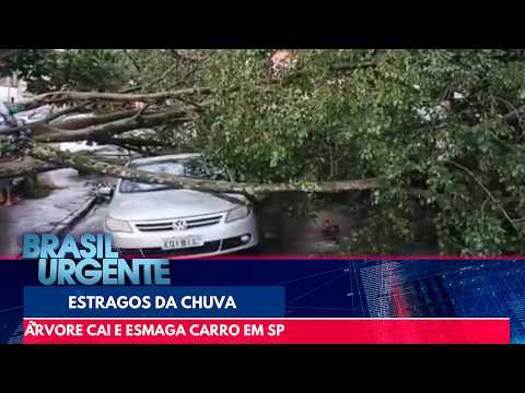 Árvore cai em cima de carro | Brasil Urgente