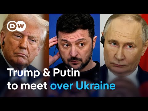Ukraine peace talks set to begin ‘immediately’ after presidents talk on phone | DW News
