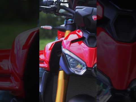 214馬力V4サウンドが最高すぎる。🔥 #DUCATI #StreetfighterV4 #ドゥカティ #V4 #Exhaust Sound